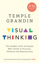 Visual Thinking : The Hidden Gifts of People Who Think in Pictures, Patterns and Abstractions-9781846046872