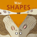 Shapes-9781846439940