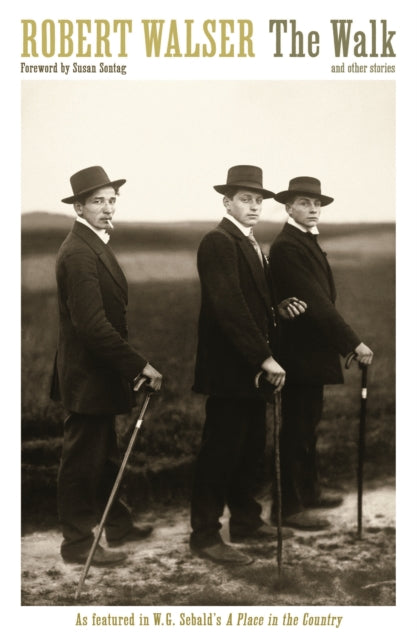 The Walk-9781846689581