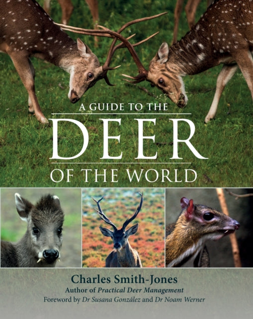 A Guide to the Deer of the World-9781846893629