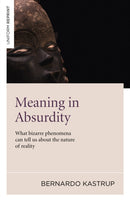Meaning in Absurdity - What bizarre phenomena can tell us about the nature of reality-9781846948596