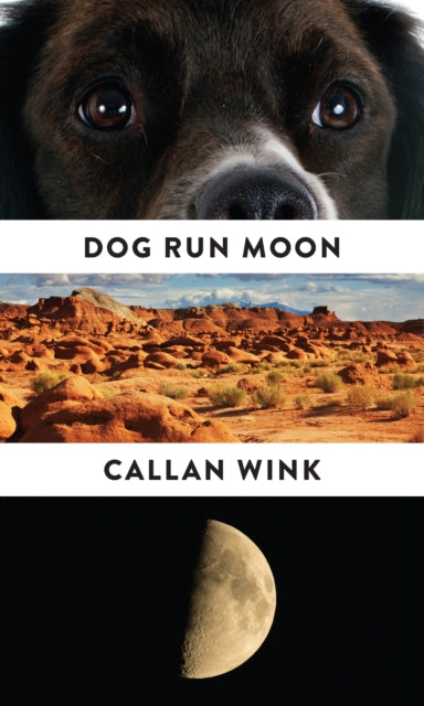 Dog Run Moon : Stories-9781847088147