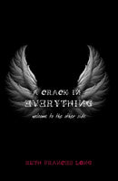 A Crack in Everything : Welcome to the other side-9781847176356