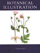 Botanical Illustration