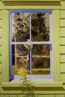 Lois Dodd-9781848222373