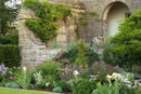 Mounton House : The Birth and Rebirth of an Edwardian Country Home-9781848225787
