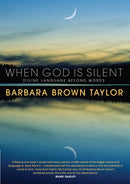 When God is Silent : Divine language beyond words-9781848254541