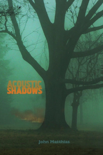 Acoustic Shadows-9781848616363