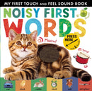 Noisy First Words : My First Touch and Feel Sound Book-9781848698499