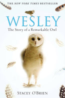 Wesley : The Story of a Remarkable Owl-9781849010580