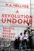 A Revolution Undone : Egypt's Road Beyond Revolt-9781849046848