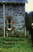 Finishing the Picture : Collected Poems-9781849211543
