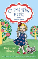 Clementine Rose and the Surprise Visitor-9781849418409
