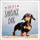 Love Is a Sausage Dog