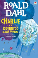 Charlie a'r Esgynnydd Mawr Gwydr-9781849673433