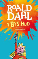 Y Bys Hud-9781849673457