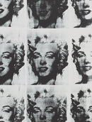 Andy Warhol-9781849766708