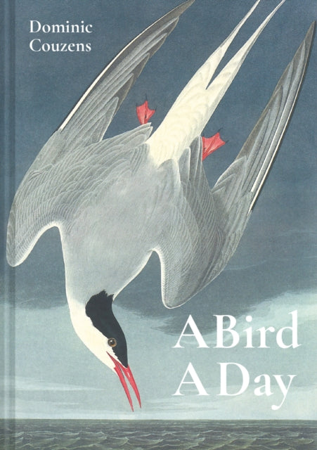 A Bird A Day-9781849945868