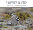 Shorebirds in Action : An Introduction to Waders and Their Behaviour-9781849953559