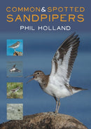 Common and Spotted Sandpipers-9781849953610