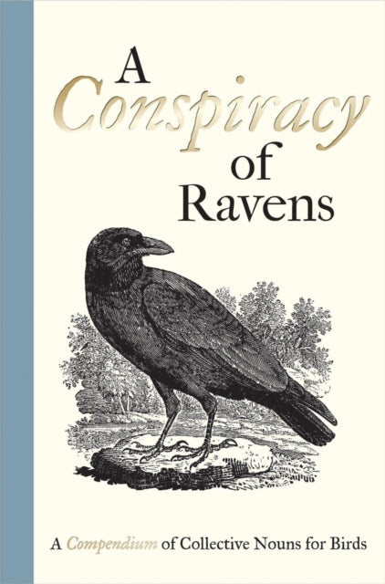 A Conspiracy of Ravens : A Compendium of Collective Nouns for Birds-9781851244096