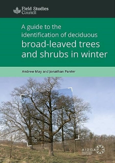 A Guide to the Identification of Deciduous Broad - Leaved Trees and Shrubs in Winter-9781851532070
