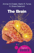 The Brain : A Beginner's Guide-9781851685943