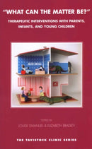 What Can the Matter Be? : Therapeutic Interventions with Parents, Infants and Young Children-9781855753402