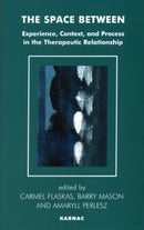 The Space Between : Experience, Context, and Process in the Therapeutic Relationship-9781855753655