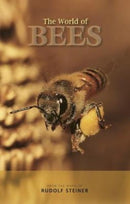 The World of Bees-9781855845404