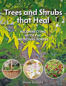 Trees and Shrubs that Heal : Reconnecting With The Medicinal Forest-9781856232623