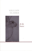 At the Source : A Writer's Year-9781857549867