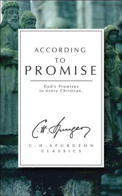 According to Promise : God's Promises to Every Christian-9781857922752