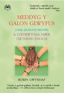 Meddyg y Galon Glwyfus - Gofal am Iechyd Meddwl a Chymwynas Fawr Dr David Enoch