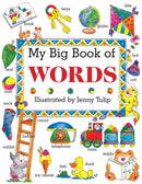 My Big Book of Words-9781861473257