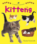 Say and Point Picture Boards: Kittens-9781861473844