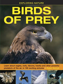 Exploring Nature: Birds of Prey-9781861474834
