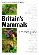 Britain's Mammals : A Concise Guide-9781873580813