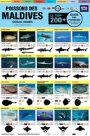 Maldives Guide Des Poissons