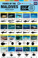 Maldives Fish Field Guide "Top 200+"