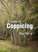 A Guide to Coppicing