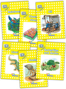 Jolly Phonics Readers, Nonfiction, Level 2 : In Precursive Letters (British English edition)-9781903619391