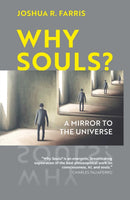 Why Souls? – A Mirror to the Universe