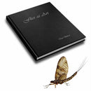Flies as Art : The Definitve Step by Step Guide to Modern Realistic Fly Tying-9781904784142