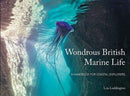 Wondrous British Marine Life : A handbook for coastal explorers-9781906095703