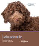 Labradoodle - Dog Expert-9781906305734