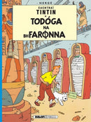 Tintin: Todoga Na Bhfaronna (Irish)-9781906587451
