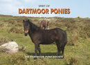 Spirit of Dartmoor Ponies-9781906887230