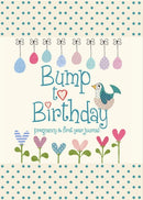 Bump to Birthday, Pregnancy & First Year Journal-9781907048418