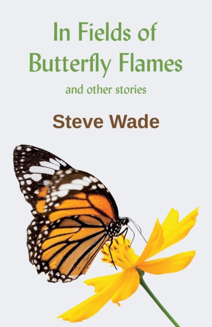 In Fields of Butterfly Flames-9781907335877